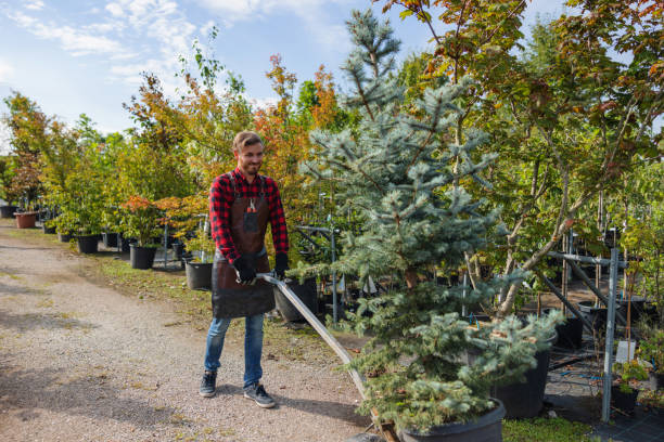 Best Seasonal Cleanup (Spring/Fall)  in Rutland, VT